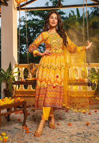 Thumbnail for PURE CHINON CHIFFON HIGH-LOW ANARKALI DRESS WITH EXCLUSIVE PANT & DUPATTA